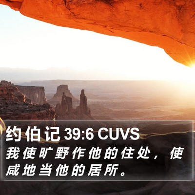 约 伯 记 39:6 CUVS Bible Verse Image