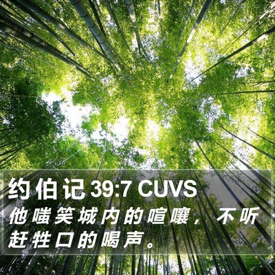 约 伯 记 39:7 CUVS Bible Verse Image