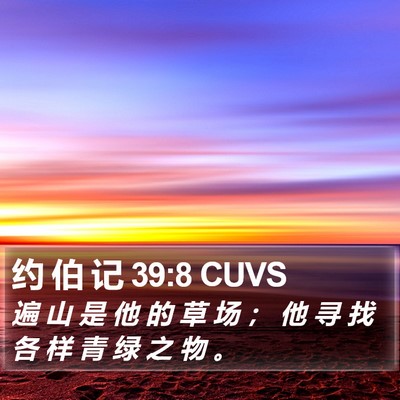 约 伯 记 39:8 CUVS Bible Verse Image