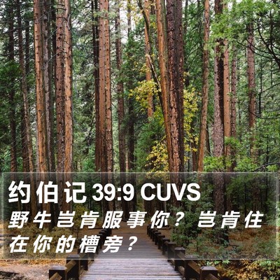 约 伯 记 39:9 CUVS Bible Verse Image