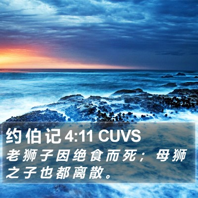 约 伯 记 4:11 CUVS Bible Verse Image