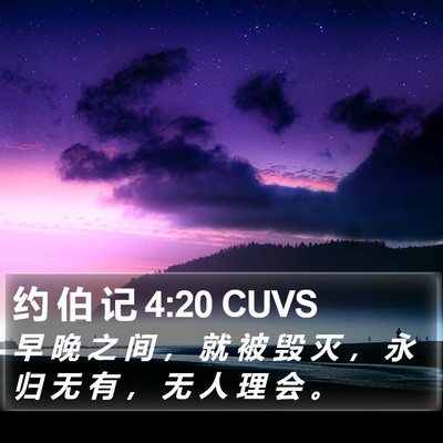 约 伯 记 4:20 CUVS Bible Verse Image