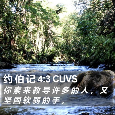 约 伯 记 4:3 CUVS Bible Verse Image