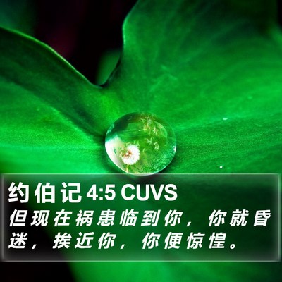 约 伯 记 4:5 CUVS Bible Verse Image