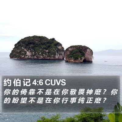 约 伯 记 4:6 CUVS Bible Verse Image