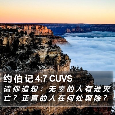 约 伯 记 4:7 CUVS Bible Verse Image