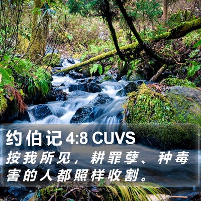 约 伯 记 4:8 CUVS Bible Verse Image