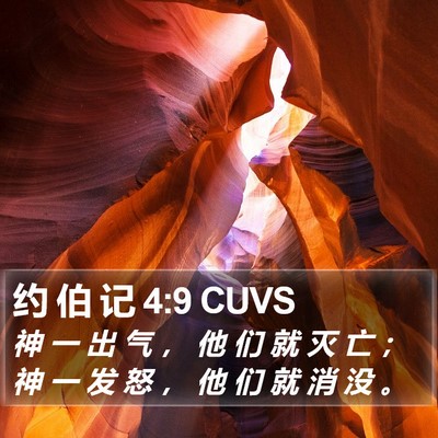约 伯 记 4:9 CUVS Bible Verse Image