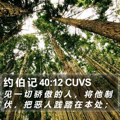 约 伯 记 40:12 CUVS Bible Verse Image