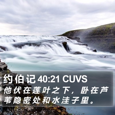 约 伯 记 40:21 CUVS Bible Verse Image