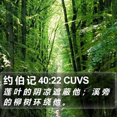 约 伯 记 40:22 CUVS Bible Verse Image