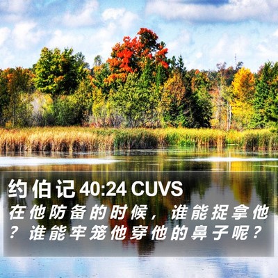 约 伯 记 40:24 CUVS Bible Verse Image