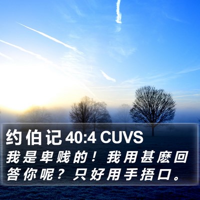 约 伯 记 40:4 CUVS Bible Verse Image