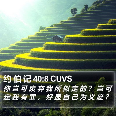 约 伯 记 40:8 CUVS Bible Verse Image