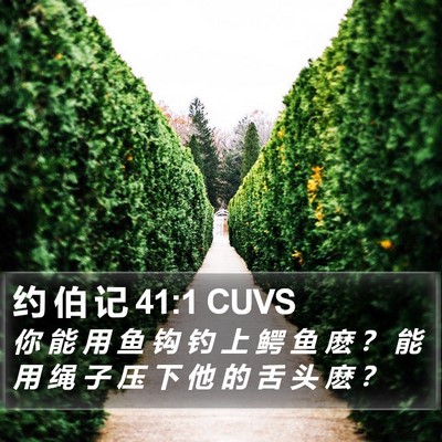 约 伯 记 41:1 CUVS Bible Verse Image