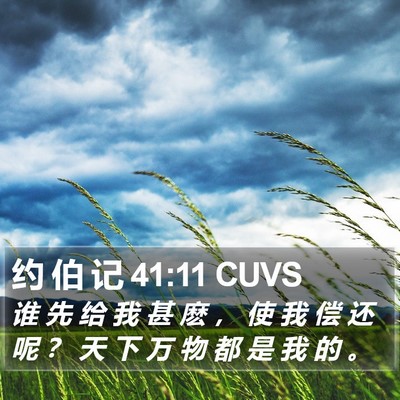 约 伯 记 41:11 CUVS Bible Verse Image