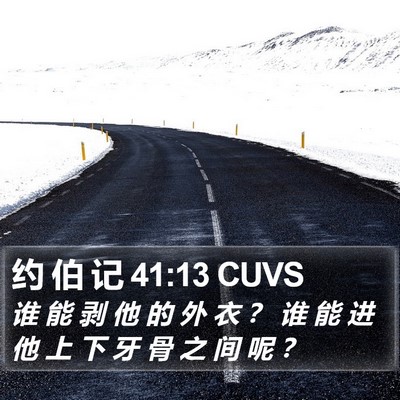 约 伯 记 41:13 CUVS Bible Verse Image