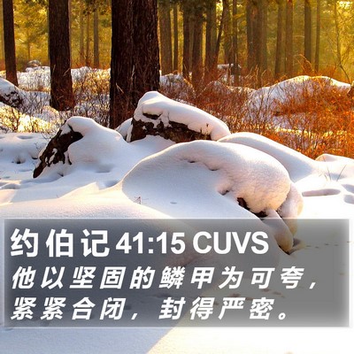 约 伯 记 41:15 CUVS Bible Verse Image