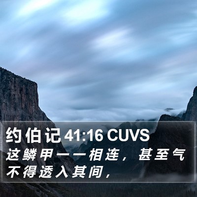 约 伯 记 41:16 CUVS Bible Verse Image