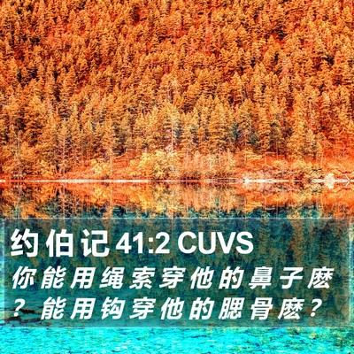 约 伯 记 41:2 CUVS Bible Verse Image