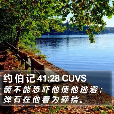 约 伯 记 41:28 CUVS Bible Verse Image