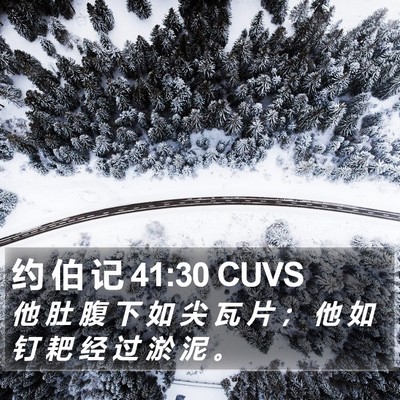 约 伯 记 41:30 CUVS Bible Verse Image