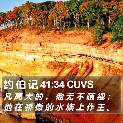 约 伯 记 41:34 CUVS Bible Verse Image