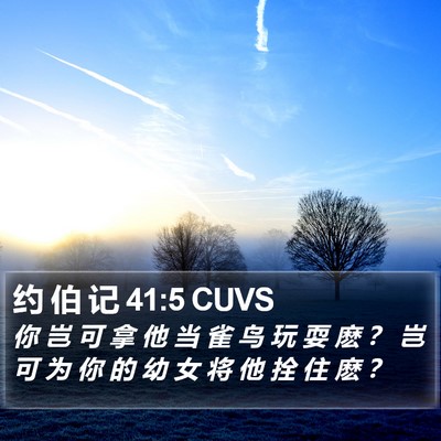 约 伯 记 41:5 CUVS Bible Verse Image
