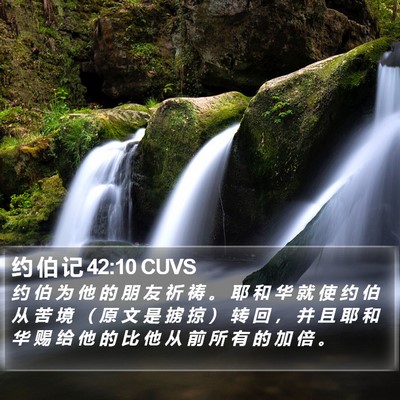 约 伯 记 42:10 CUVS Bible Verse Image