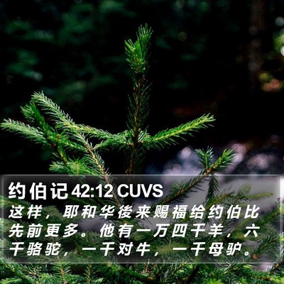 约 伯 记 42:12 CUVS Bible Verse Image