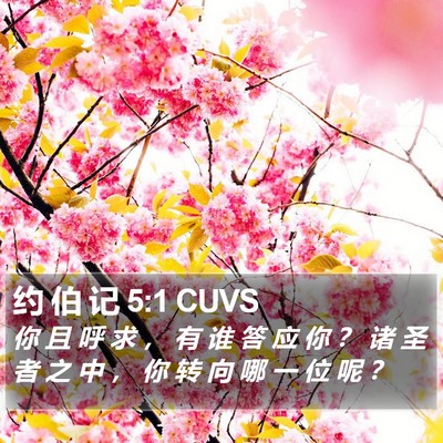 约 伯 记 5:1 CUVS Bible Verse Image
