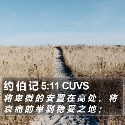 约 伯 记 5:11 CUVS Bible Verse Image