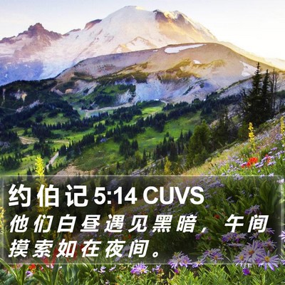 约 伯 记 5:14 CUVS Bible Verse Image