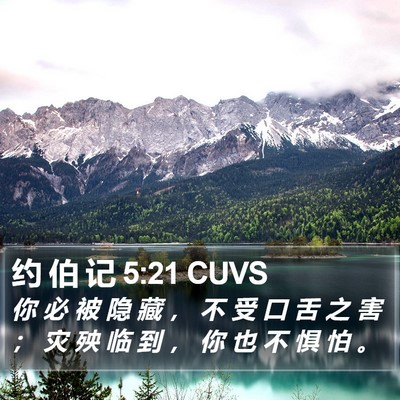 约 伯 记 5:21 CUVS Bible Verse Image