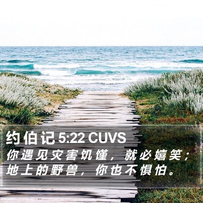 约 伯 记 5:22 CUVS Bible Verse Image