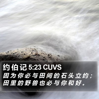 约 伯 记 5:23 CUVS Bible Verse Image
