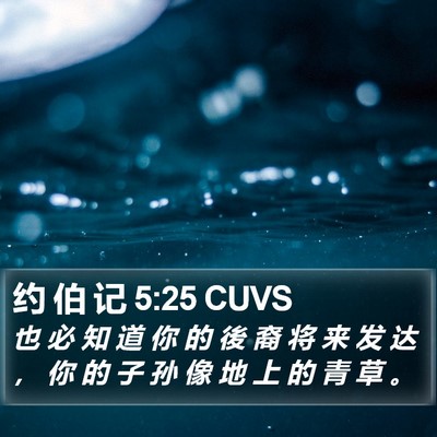 约 伯 记 5:25 CUVS Bible Verse Image