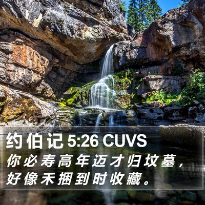 约 伯 记 5:26 CUVS Bible Verse Image