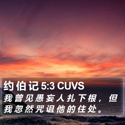 约 伯 记 5:3 CUVS Bible Verse Image