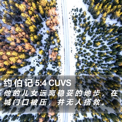 约 伯 记 5:4 CUVS Bible Verse Image