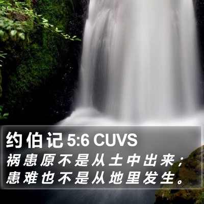 约 伯 记 5:6 CUVS Bible Verse Image