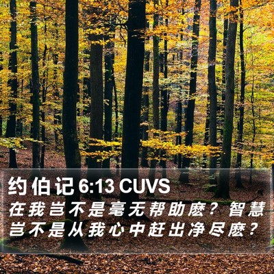 约 伯 记 6:13 CUVS Bible Verse Image