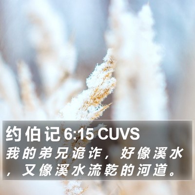 约 伯 记 6:15 CUVS Bible Verse Image
