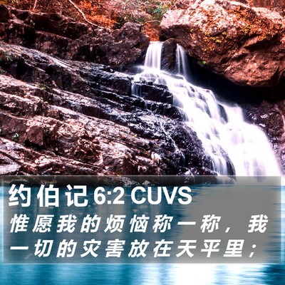 约 伯 记 6:2 CUVS Bible Verse Image
