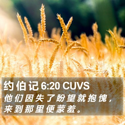 约 伯 记 6:20 CUVS Bible Verse Image