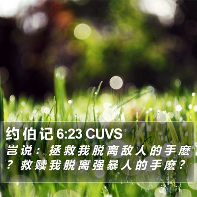 约 伯 记 6:23 CUVS Bible Verse Image