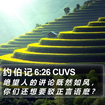 约 伯 记 6:26 CUVS Bible Verse Image
