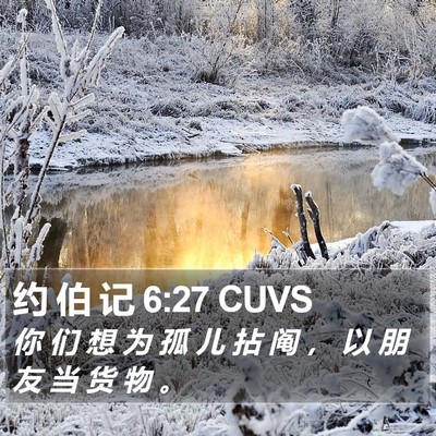 约 伯 记 6:27 CUVS Bible Verse Image