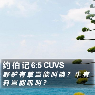 约 伯 记 6:5 CUVS Bible Verse Image