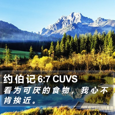 约 伯 记 6:7 CUVS Bible Verse Image
